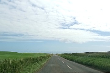 blog image